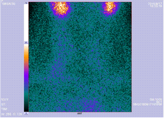 image006.gif