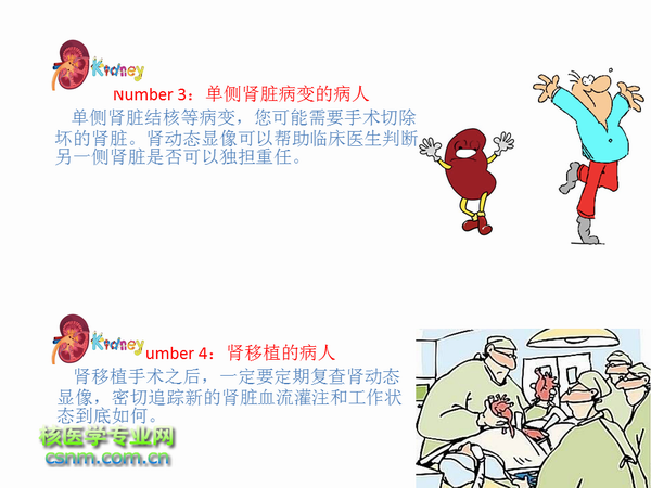 肾动态显像的原理是什么_肾动态显像报告单(3)
