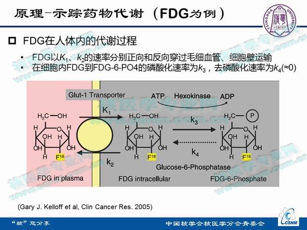 核医学成像的原理是什么_小孔成像的原理是什么