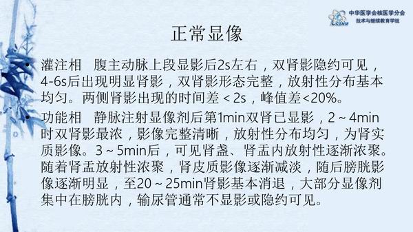 肾动态显像的原理是什么_肾动态显像报告单(2)